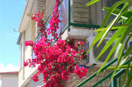 Apartments Aurelija Hrastović