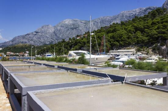 Ramova wind powered salt pans