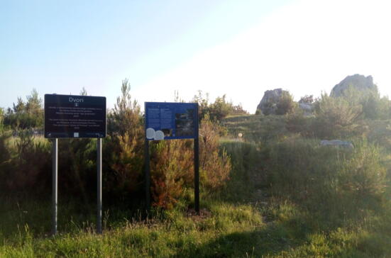 Dvori, above Promajna