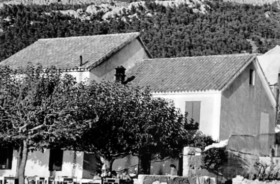 Promajna vintage