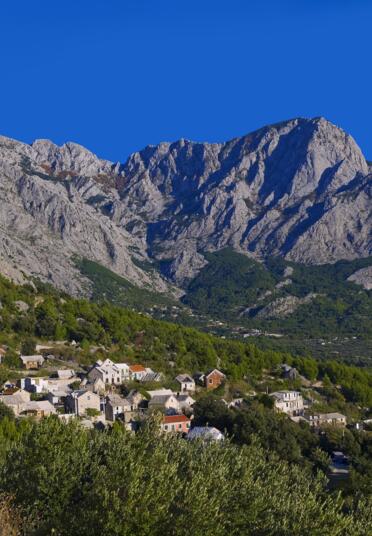 Topići